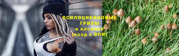 гидра Алзамай