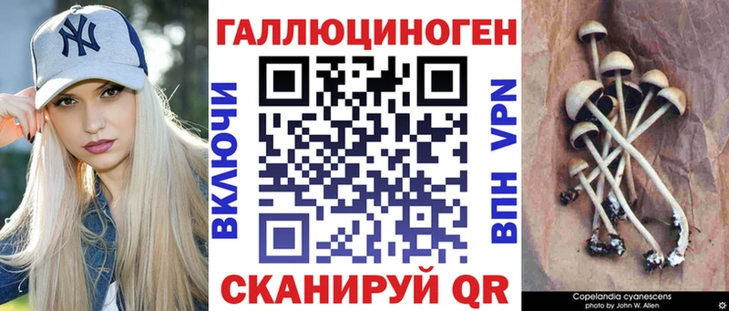Галлюциногенные грибы Magic Shrooms Каневская